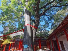 -少华山国家森林公园
