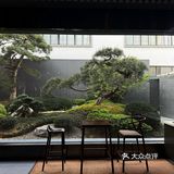 东阳!找到了一处藏匿在市井的宝藏庭院
