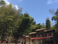 -宁波浙东大竹海景区