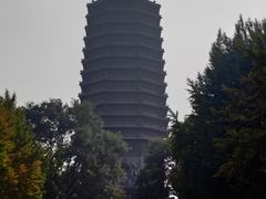 -玲珑塔公园