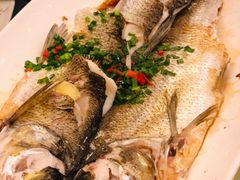 -千岛湖品鱼馆(钓鱼岛店)