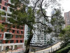 -香港大学