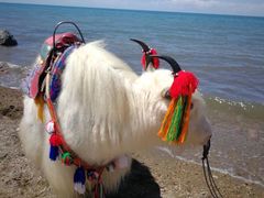 -青海湖国家重点风景名胜区