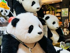 -轩客会(熊猫书店)