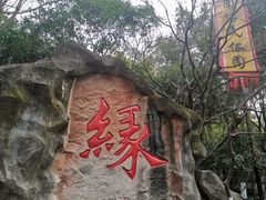 -杭州黄龙洞