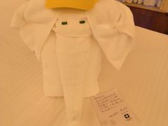 -三亚亚龙湾雅高美爵酒店