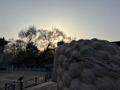 -北陵公园