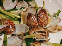 -鸽子窝(黄村店)