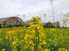 -中国天府农业博览园