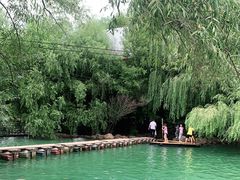-大鹅岛绿色生态美食园