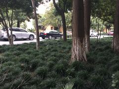 -杭州市陈经纶体育学校