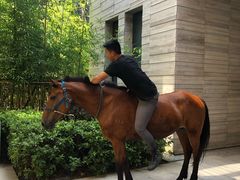 -上海崇明金茂凯悦酒店