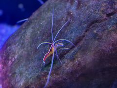-海合安武汉极地海洋公园