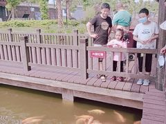 -枫香湖儿童公园