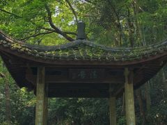 -虎跑公园