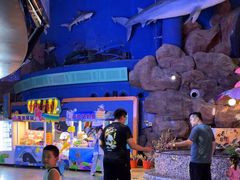 -烟台海昌鲸鲨海洋公园