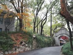 -叶家花园