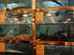 -蜀滋香鲜鱼美蛙火锅(339店)