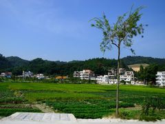 景点-红山村