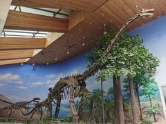 -延庆地质公园博物馆