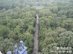 -灵谷景区