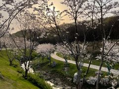 -羊山湖公园