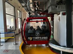 -栾川竹海野生动物园