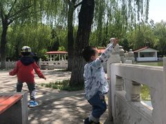 -丰台花园