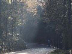 -山王坪喀斯特国家生态公园