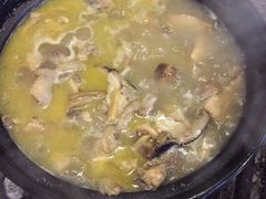 -蘑统田下·野生菌火锅