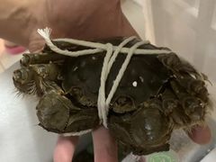 -秋月舫(阳澄湖湖滨中路店)