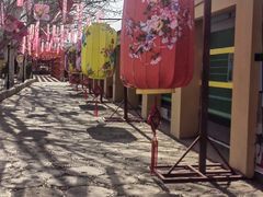 -河北村民俗体验园