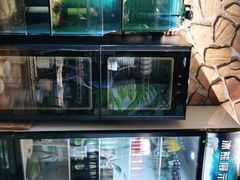 -Thai Basil罗勒叶泰式餐厅(时代天街店)