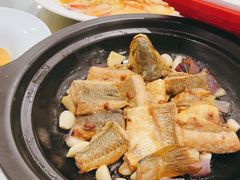 -骏莱海鲜鱼港(五角场店)