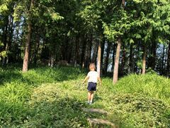 -田园东方蜜桃村的田野营地
