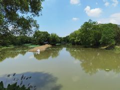 -西溪国家湿地公园