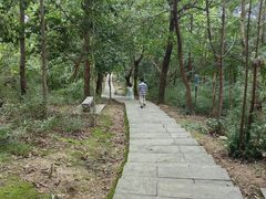 -敬亭山风景名胜区