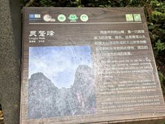 -楠溪江石桅岩