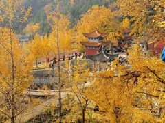 -遵化市禅林寺古银杏风景园