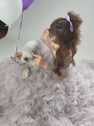 -WAVE SODA摄影工作室