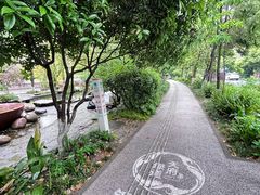 -成都市活水公园