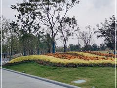 -上海滨江森林公园