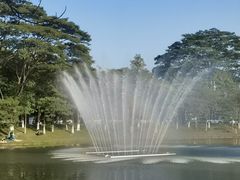 -东莞植物园