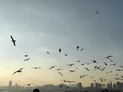 -星海广场