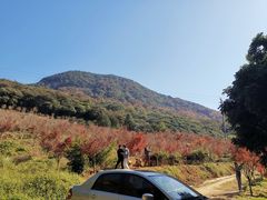 -广州市石门国家森林公园