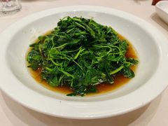 酒香金花菜-得月楼·省级非遗·传统苏帮菜(观前店)