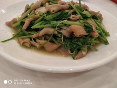 -九花山烤鸭店