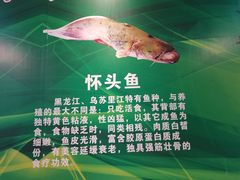-老刘生态大鱼坊铁锅炖鱼(赛马场店)