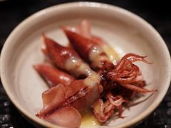 荧光小鱿鱼-橼舍鮨青木