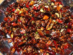 歌乐山辣子鸡-胡马八破·川菜小馆(高新万达店)